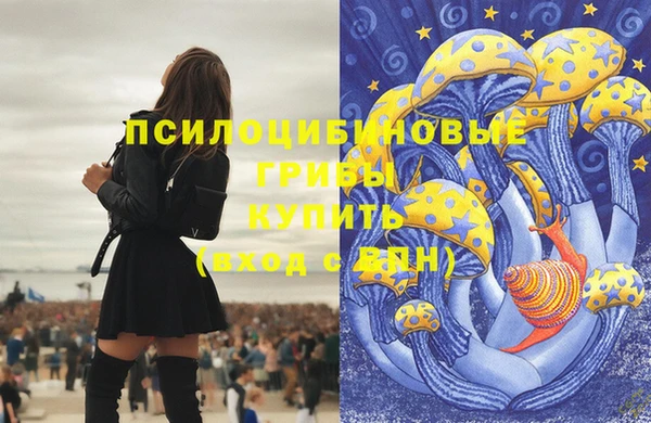 гидропоника Жердевка