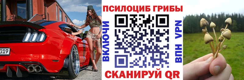 нарко площадка официальный сайт  мега ссылка  Кедровый  Псилоцибиновые грибы Psilocybe 