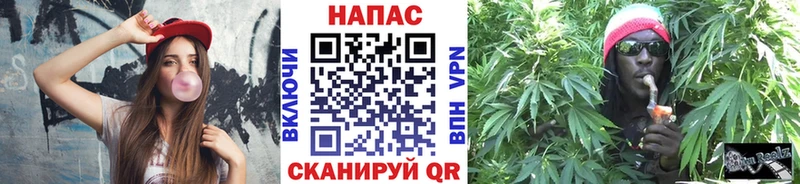 Бошки Шишки Ganja  даркнет сайт  Кедровый 